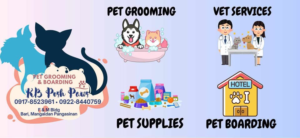 KB POSH PAWS Services